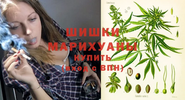 стафф Бородино