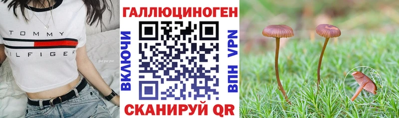 Псилоцибиновые грибы Cubensis  Колпашево 